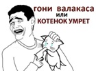 IIaPoIIaHk
